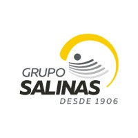 Grupo Salinas